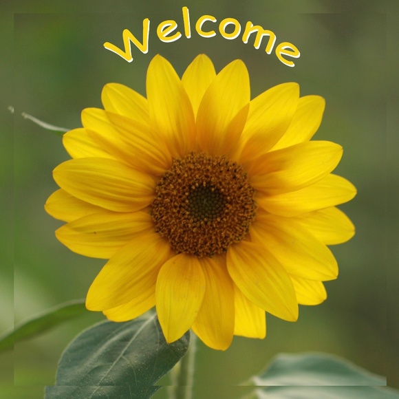 COPY - A Little Sunshine Brings Happiness !